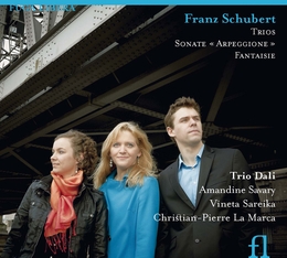 Image du média "TRIO CLAVIER OP. 99,100 / SONATE ARPEGGIONE  / FANTAISIE de Franz SCHUBERT"