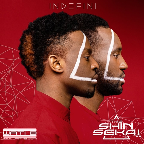 Couverture INDEFINI de THE SHIN SEKAI