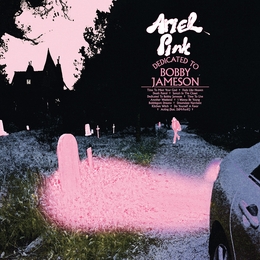 Image du média "DEDICATED TO BOBBY JAMESON de Ariel PINK"