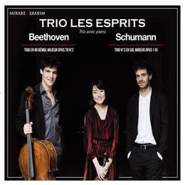 Image du média "TRIO A CLAVIER OP.70 (SCHUMANN OP.110) de Ludwig van BEETHOVEN"