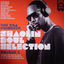 Image du média "THE RZA PRESENTS: SHAOLIN SOUL SELECTION  VOL.1"