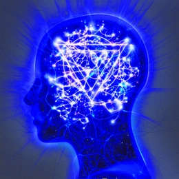 Image du média "THE MINDSWEEP de ENTER SHIKARI"