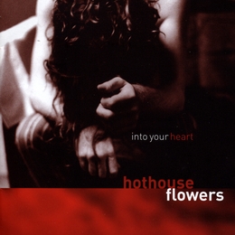 Image du média "INTO YOU HEART de HOTHOUSE FLOWERS"