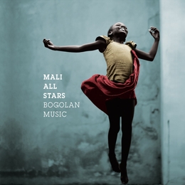 Image du média "MALI ALL STARS: BOGOLAN MUSIC"