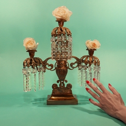 Image du média "RESTLESS IDYLLS de TROPIC OF CANCER"