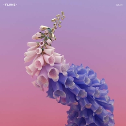 Image du média "SKIN de FLUME"