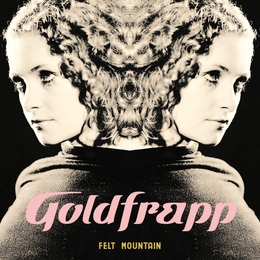 Image du média "FELT MOUNTAIN de GOLDFRAPP"