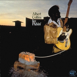 Image du média "ICE PICKIN' de Albert COLLINS"