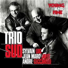 Image du média "YOUNG AND FINE de TRIO SUD"