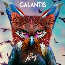 Image du média "AVIARY de GALANTIS"