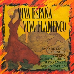 Image du média "VIVA ESPAÑA, VIVA FLAMENCO"