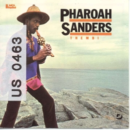 Image du média "THEMBI de Pharoah SANDERS"