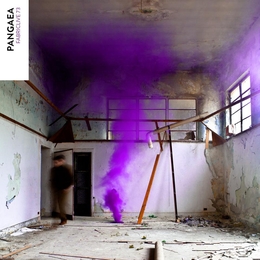 Image du média "FABRICLIVE. 73 de PANGAEA"