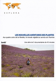 Image du média "LES NOUVELLES AVENTURES DES PLANTES de Ika FRANZMANN"