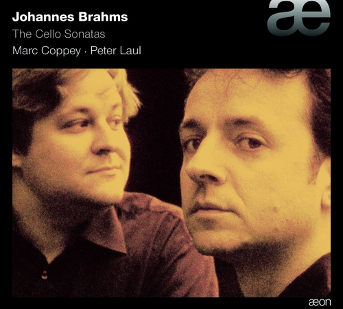 Couverture SONATE VIOLONCELLE PIANO + OP.78 de Johannes BRAHMS