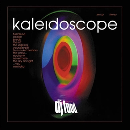 Image du média "KALEIDOSCOPE de DJ FOOD"