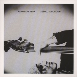 Image du média "ABSOLUTE HORIZON de Adam LANE TRIO"