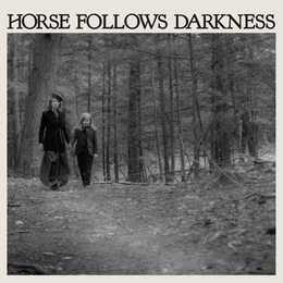 Image du média "HORSE FOLLOWS DARKNESS de Delia GONZALEZ"