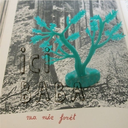 Image du média "MA MIE FORÊT de ICI BABA"