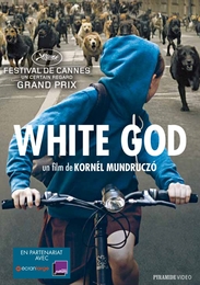 Image du média "WHITE GOD de Kornél MUNDRUCZÓ"