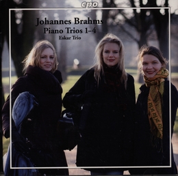 Image du média "TRIO CLAVIER 1-4 de Johannes BRAHMS"