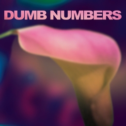 Image du média "DUMB NUMBERS de DUMB NUMBERS"