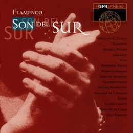 Image du média "FLAMENCO: SON DEL SUR"