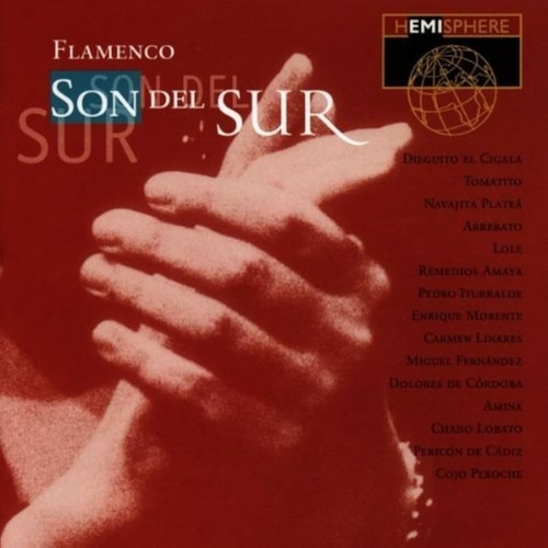 Couverture FLAMENCO: SON DEL SUR