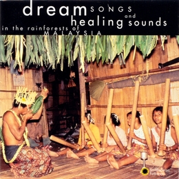 Image du média "DREAM SONGS & HEALING SOUNDS IN THE RAINFOREST OF MALAYSIA"