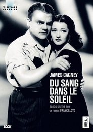 Image du média "DU SANG DANS LE SOLEIL de Frank LLOYD"