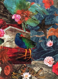 Image du média "TAKAHE COLLAGE de MERZBOW"