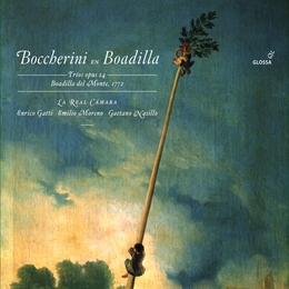 Image du média "TRIOS CORDES OP.14  BOCCHERINI À BOADILLA de Luigi BOCCHERINI"