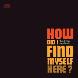 Image du média "HOW DID I FIND MYSELF HERE? de THE DREAM SYNDICATE"