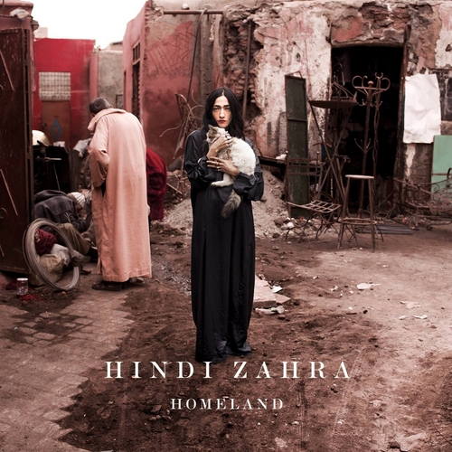 Couverture HOMELAND de Hindi ZAHRA