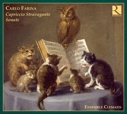 Image du média "CAPRICCIO STRAVAGANTE & SONATE de Carlo FARINA"