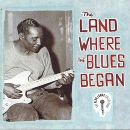 Image du média "THE LAND WHERE THE BLUES BEGAN"