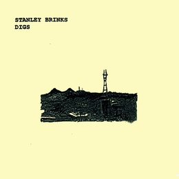 Image du média "DIGS de Stanley BRINKS"