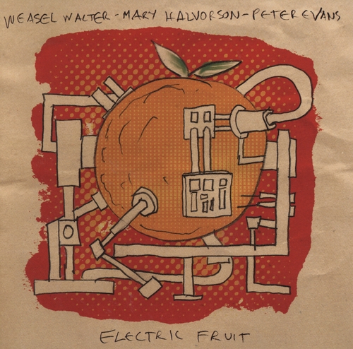 Couverture ELECTRIC FRUIT de Weasel WALTER/MARY HALVORSON/PETER EVANS