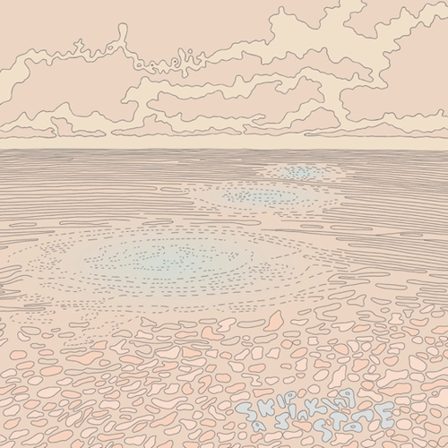 Couverture SKIP A SINKING STONE de MUTUAL BENEFIT