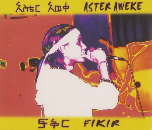 Couverture FIKIR de Aster AWEKE