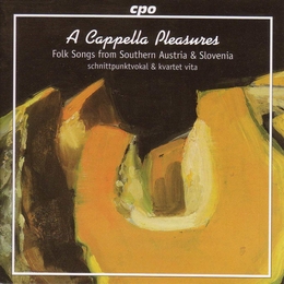 Image du média "A CAPPELLA PLEASURES, FOLK SONGS FROM SOUTHERN AUSTRIA & SLO"