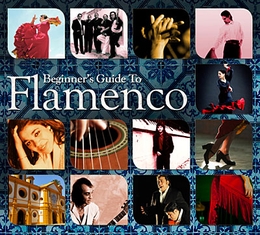 Image du média "BEGINNER'S GUIDE TO FLAMENCO"