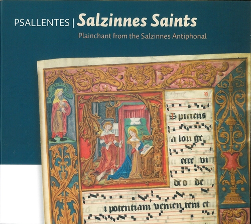 Couverture SALZINNES SAINTS