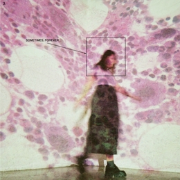 Image du média "SOMETIMES, FOREVER de SOCCER MOMMY"