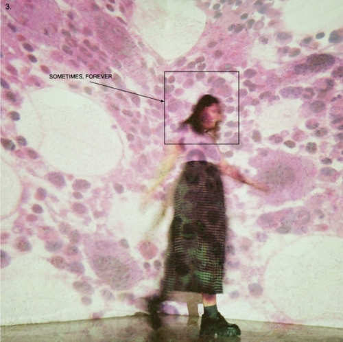 Couverture SOMETIMES, FOREVER de SOCCER MOMMY