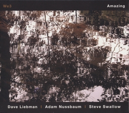 Image du média "AMAZING de Dave LIEBMAN/NUSSBAUM/SWALLOW"