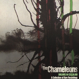 Image du média "DREAMS IN CELLULOID (A COLLECTION OF RARE RECORDINGS) de THE CHAMELEONS"