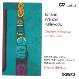 Image du média "ORCHESTERWERKE de Johann Wenzel KALLIWODA"