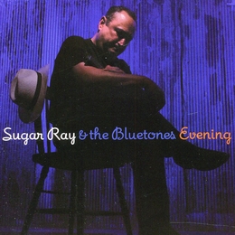 Image du média "EVENING de SUGAR RAY & THE BLUETONES"