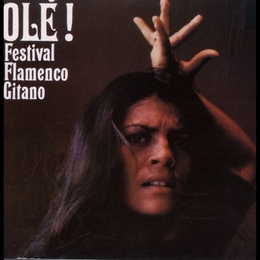 Image du média "OLE ! : FESTIVAL FLAMENCO GITANO"